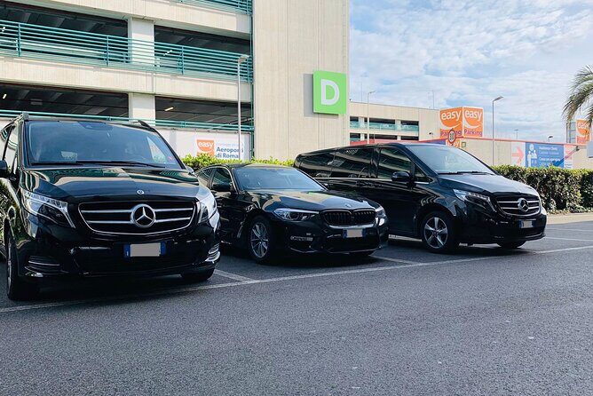 London Heathrow Airport (LHR) to Southampton Port - Arrival Private Transfer - Meet Your Driver: Name Sign, Luggage Help, and Flight Tracking