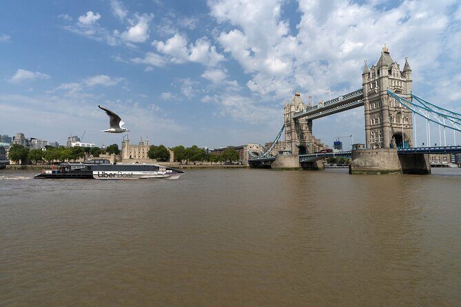 London: IFS Cable Car + Uber Boat One Way River Thames Cruise - How long will it take, really?