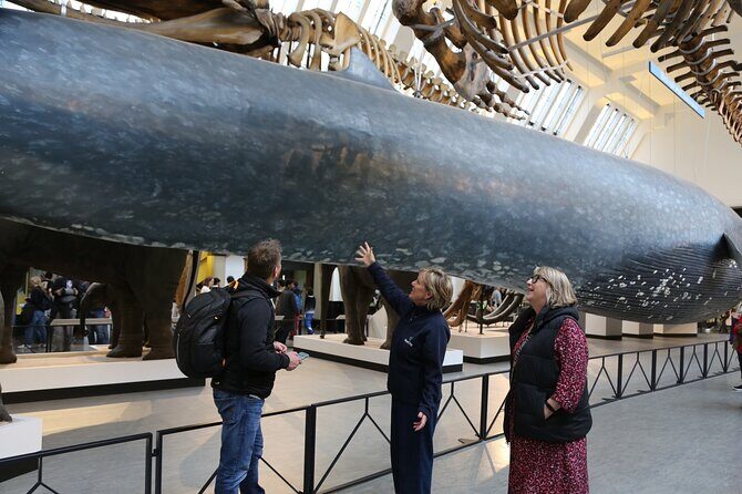 London: Natural History Museum Express Guided Tour & Audio Guide - What to expect during your 3 hours inside