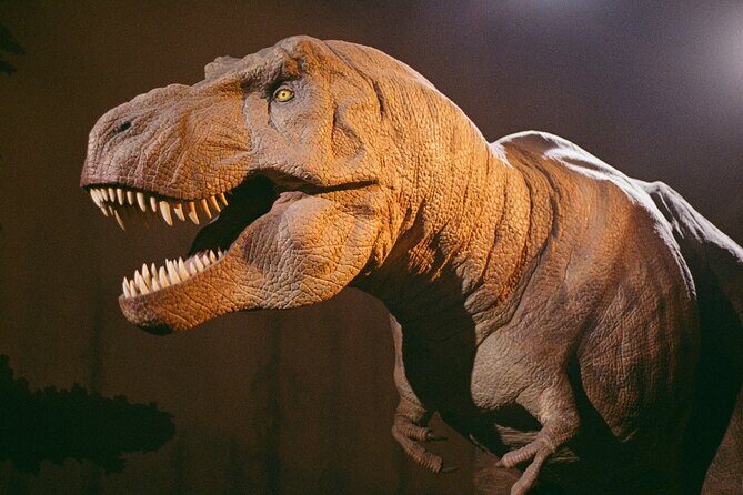London: Natural History Museum Express Guided Tour & Audio Guide - Special exhibitions are not part of this package