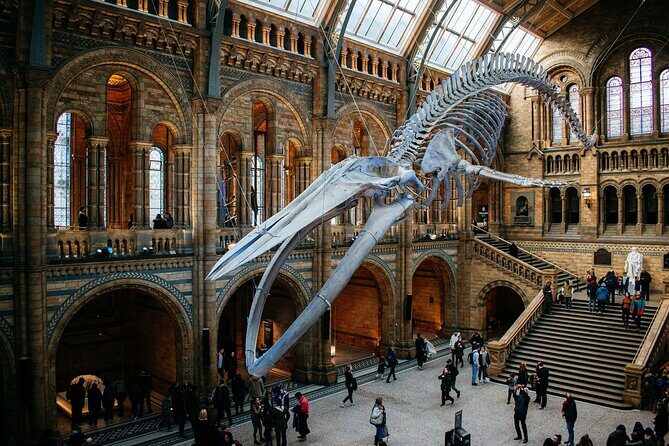 London: Natural History Museum Express Guided Tour & Audio Guide - The 30-minute guided intro: short, helpful, and very practical