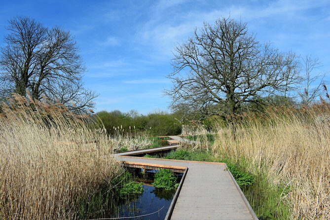 London's Best Kept Secret Bike Tour - Price and Value: Is $95.74 a Good Deal?