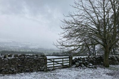 Luxury Private Yorkshire Dales National Park Tour - Stop 1 in Yorkshire: more variety than you’d expect