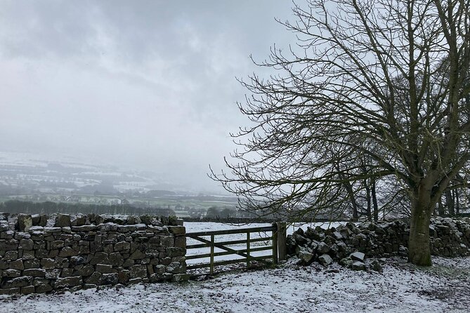 Luxury Private Yorkshire Dales National Park Tour - Stop 1 in Yorkshire: more variety than you’d expect