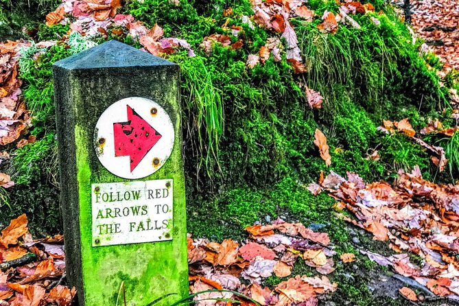 MANCHESTER: Lake District Adventure - Sightseeing Day Trip Tour - The scenic drive up: the payoff between Ambleside and Blea Tarn