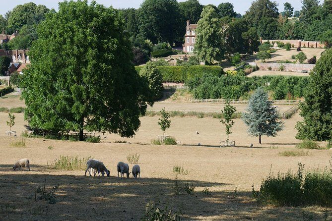Midsomer Murders Tour from London - Henley-on-Thames: Riverside Town Time, Not Just a Filming Stop