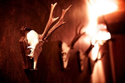 moviESCAPE Stockport Haunted House II Demon's Curse Escape Room - The Story Hook: Lord Crowley’s Curse and the Missing Team