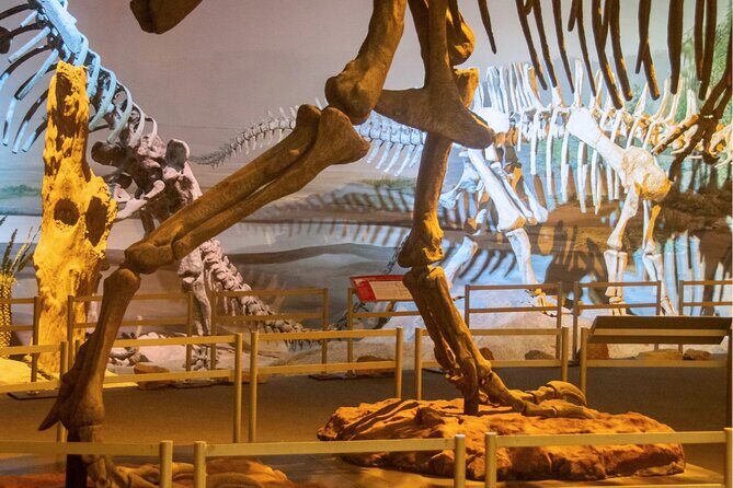 Natural History Museum London Audio Tour with Free Entry Ticket - The Practical Stuff That Helps Your Visit Go Smoothly