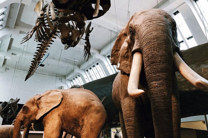 Natural History Museum London - Exclusive Guided Museum Tour - Private Tour Value at $108.49 Per Person: What You’re Really Paying For
