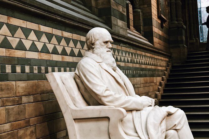 Natural History Museum London - Exclusive Guided Museum Tour - Who This Tour Fits Best (And Who Might Prefer Self-Guiding)