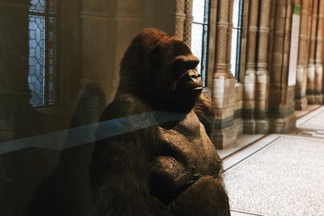 Natural History Museum London - Exclusive Guided Museum Tour - What You Can Expect From the Guide Experience
