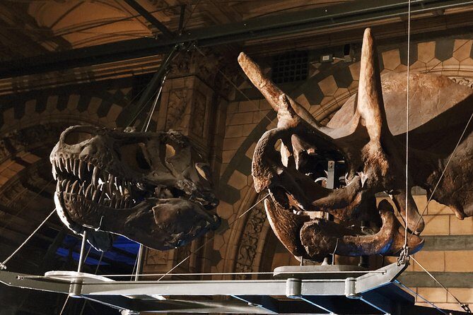 Natural History Museum London - Exclusive Guided Museum Tour - Quick Planning Notes So You’re Not Caught Off Guard