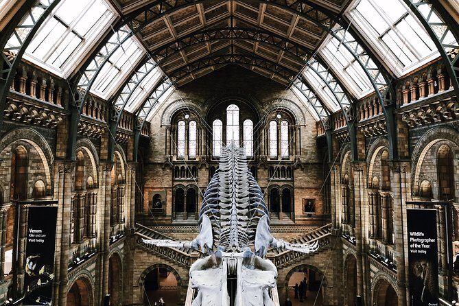 Natural History Museum London Guided Tour Semi-Private 8ppl Max - Key things to know before you go