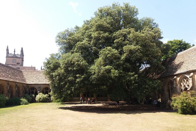 New College Oxford Harry Potter Insights PRIVATE TOUR Daily - Timing, meeting point, and how to show up without stress
