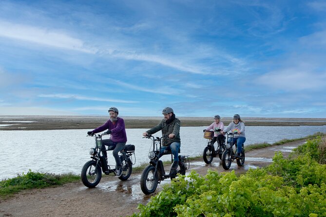 New Forest E-Bike Adventure - Key things to know before you pedal out