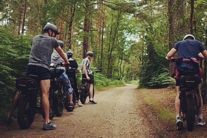 New Forest E-Bike Adventure - Why the New Forest works so well on an e-bike