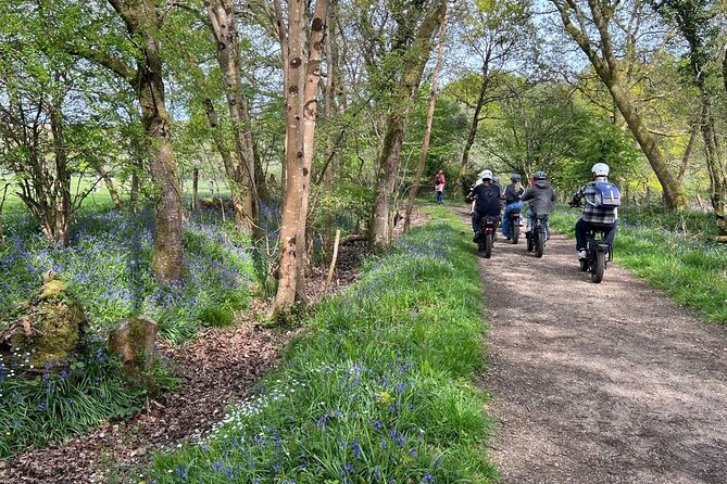 New Forest E-Bike Adventure - Pedal assist settings: find your effort sweet spot