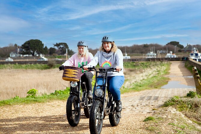 New Forest E-Bike Adventure - Wildlife you might meet: ponies, deer, cattle, and birds