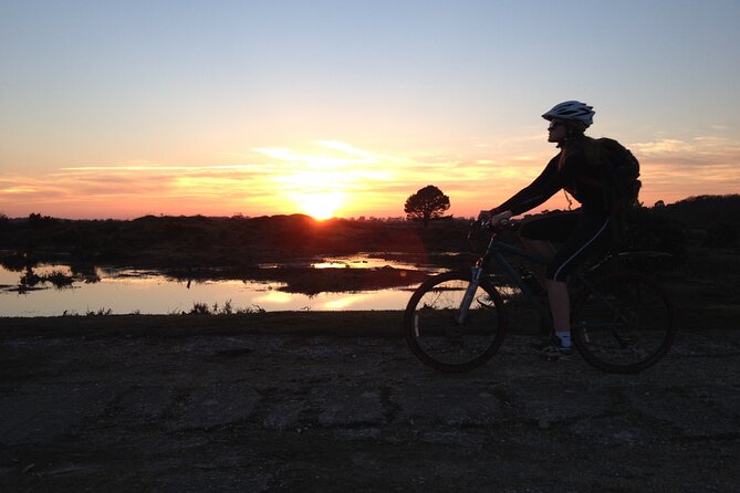 New Forest Sunset Bike Rides - A 5:00 pm Ride Into Quieter New Forest Hours