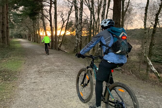 New Forest Sunset Bike Rides - Bikes, Route Help, and the Kit Bag That Makes It Feel Easy