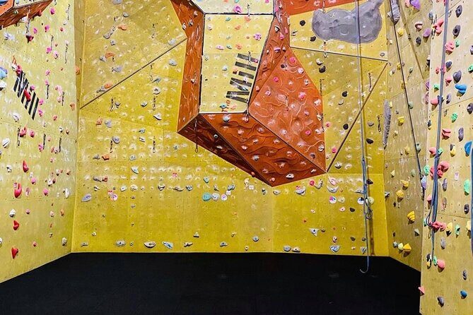 North Devon: Indoor Climbing Taster Session - Key points to know before you climb