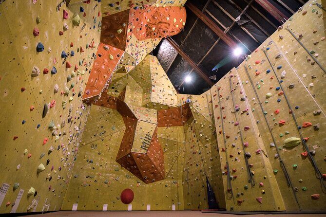North Devon: Indoor Climbing Taster Session - North Devon’s indoor taster: a first taste of real climbing