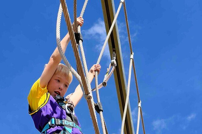 North Devon: SkyTrail High Ropes Course - The SkyTrail Course: How 24 Challenges Feel at About 10 Meters Up