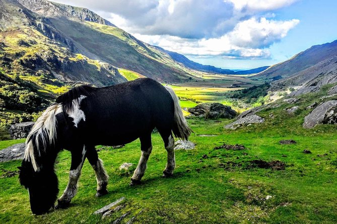North Wales Sightseeing Adventure Day Trip from Manchester - Key highlights worth your attention