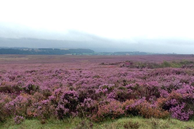 North York Moors and Whitby Day Tour from York - A full day that actually fits into 8 hours