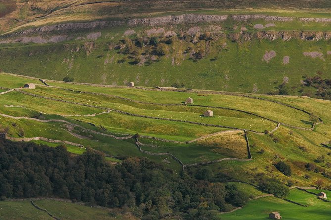 North York Moors and Whitby Day Tour from York - Whitby: fish and chips, old streets, and the Abbey option