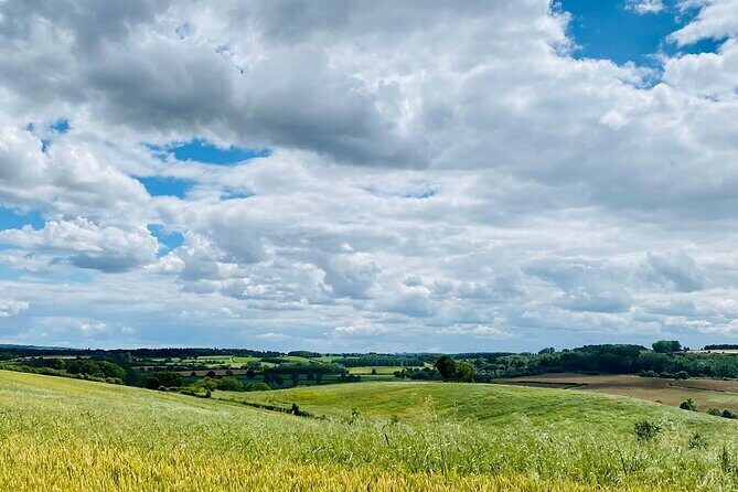 One Day Tour from London to The Cotswolds - Why the guide matters more than you think