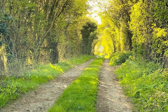One Day Tour from London to The Cotswolds - Who this London-to-Cotswolds trip suits best