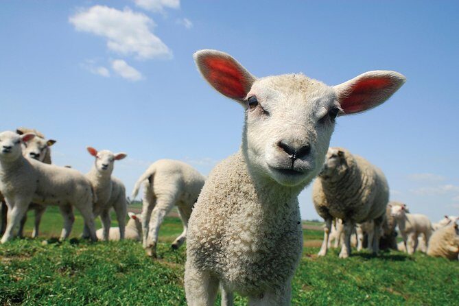 Our Famous North Cotswold Tour - Should you book the Famous North Cotswold Tour?