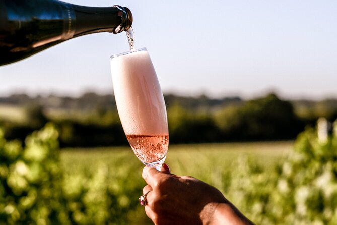 Owners vineyard tour and tasting at Oastbrook - Who should book Oastbrook’s owners vineyard tour