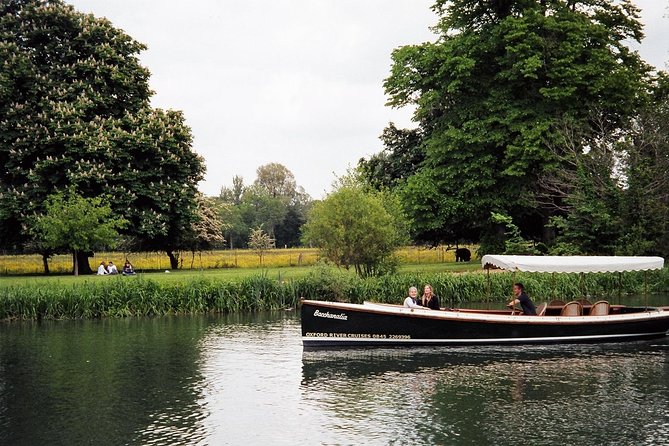 Oxford Sightseeing River Cruise Along The University Regatta Course - The Thames Portion: Rowers, Punts, and Regatta Course Details