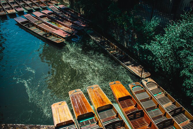 Oxford University | Punting Tour - Who Should Book This Oxford Punting Tour?