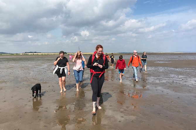 Pilgrims' Path walk across the sands to Holy Island - Holy Island crossing: tides, safety, and that sand feeling