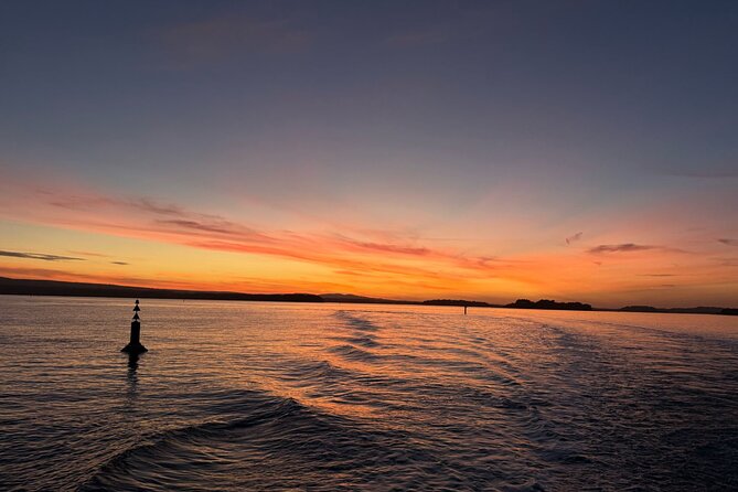 Poole Fish & Chips Lunchtime or Evening Cruise - Brownsea Island and Sandbanks: the views people remember