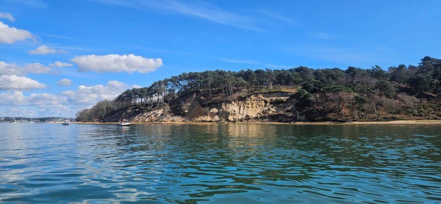 Poole Harbor: 2, 3, 4, 6, or 8-Hour Boat Rental Service - Getting Comfortable Fast at B Pontoon