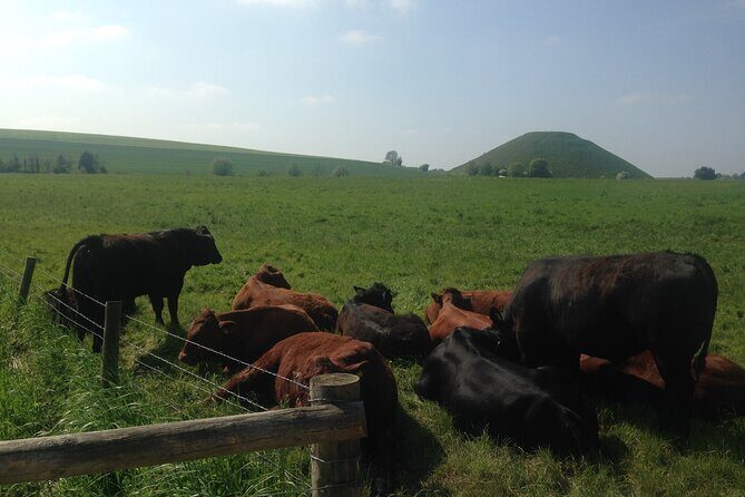 Private Archaeologist Guided Tour Stonehenge, Salisbury & Avebury - Silbury Hill and West Kennet long barrow: when engineering meets burial
