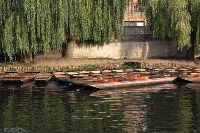 Private Cambridge Punting Tour - Passing the college backs: seven riverside colleges in under a mile
