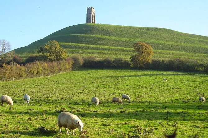 Private Day Tour from Bath to Glastonbury and Wells with Pickup - Bishop’s Palace, Marketplace, and Lunch in a Moat-Wrapped World