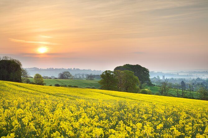 Private Day Tour from Bath to Stonehenge and The Cotswolds - Lacock Village: a 13th-century backdrop for real sightseeing