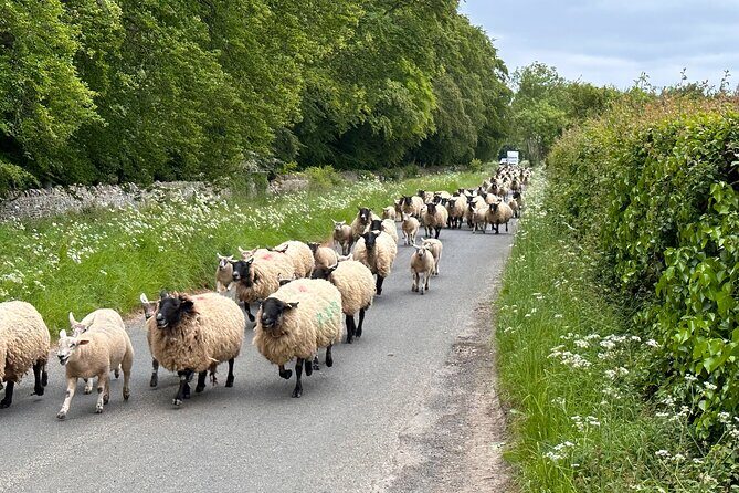 Private Day Tour from Bath to the Captivating Cotswolds - The Cotswolds road plan: hand-picked villages and quieter routes