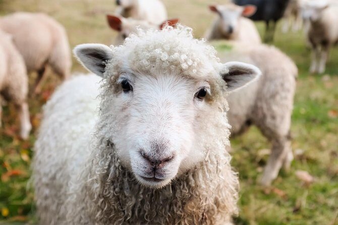 Private Day Tour to Oxford and The Cotswolds - How Customization Works in Real Life