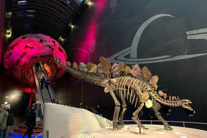Private Guided Tour of Natural History Museum - Skip the Line - Meeting point and timing: what your visit feels like