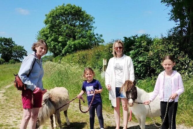 Private Miniature Horse Walking near Lincoln - Key things to know before you go