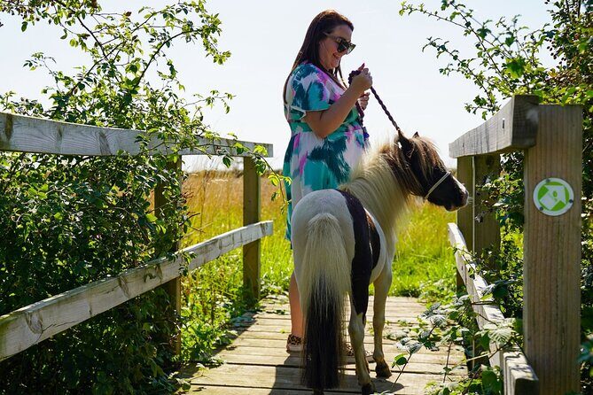 Private Miniature Horse Walking near Lincoln - Where Walcott, Lincolnshire fits into your horse-fix day