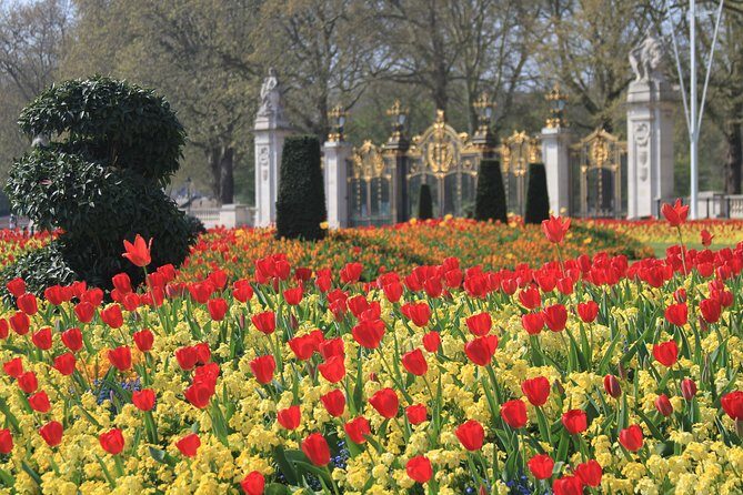Private Tour, Entry to Westminster Abbey and London Highlights - Parliament Square for Fast Big-Picture Photos