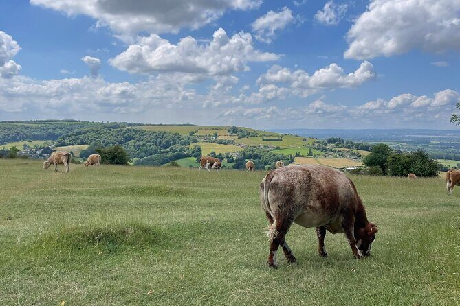 Private tour of the stunning Cotswolds with an expert local guide - Broadway Tower: Capability Brown, Beautiful Views, No Tower Climb